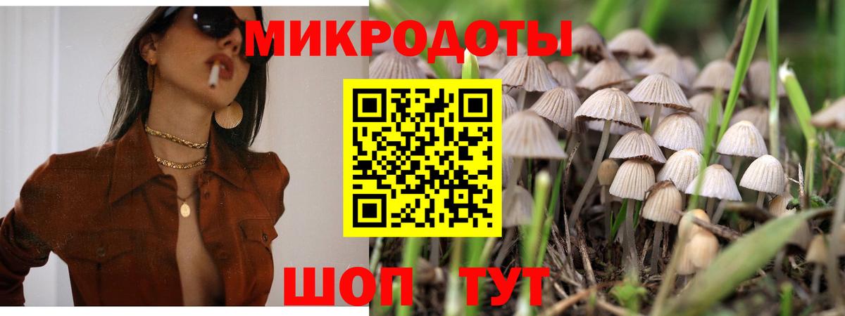 Псилоцибиновые грибы MAGIC MUSHROOMS Тельмана